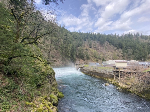 Hatchery Road Trip Little White Salmon U.S. Fish Wildlife